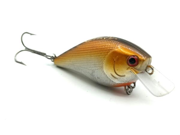 Rotfeder 9cm